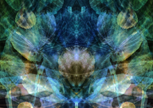 Load image into Gallery viewer, Limited edition fine art print: Flower of Transformation
