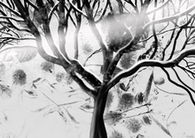 Load image into Gallery viewer, Limited edition fine art print: Winter Wedding Tree
