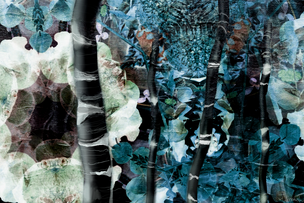 Begrænset oplag af kunsttryk: Melancholy Forest