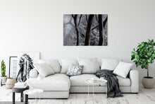 Indlæs billede i gallerifremviser, Fint kunsttryk i begrænset oplag: Cool Wind in Dark Trees
